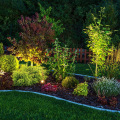 Brightening Up Portland: The Role Of Landscape Lighting In Tree Care And Aesthetics