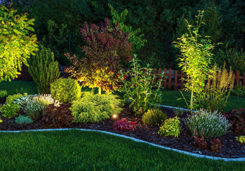 Brightening Up Portland: The Role Of Landscape Lighting In Tree Care And Aesthetics